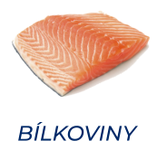 BÍLKOVINY